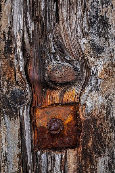 Wood Details II