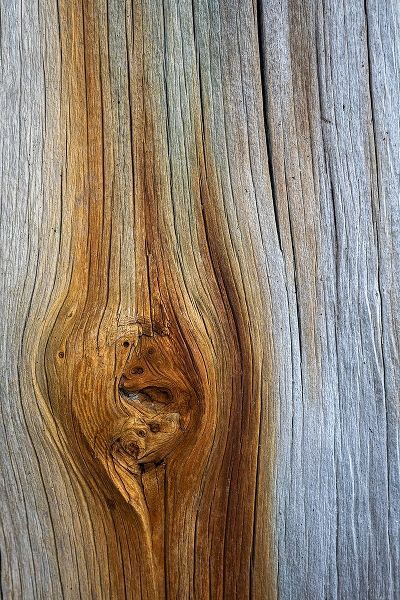 Wood Details III