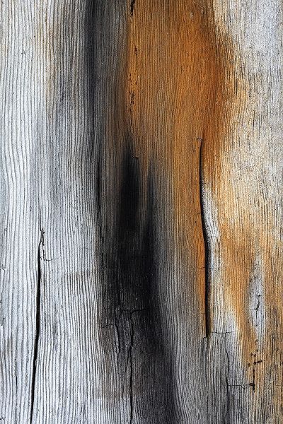Wood Details IV
