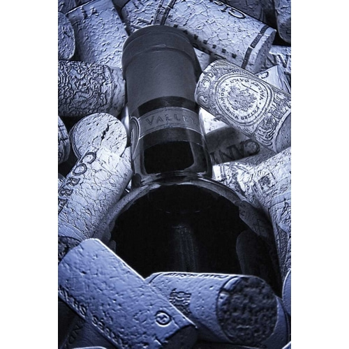 Buried Wine Bottle