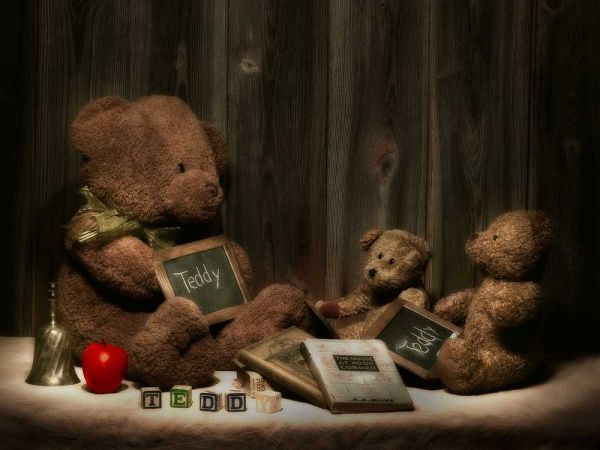 Teddybear School