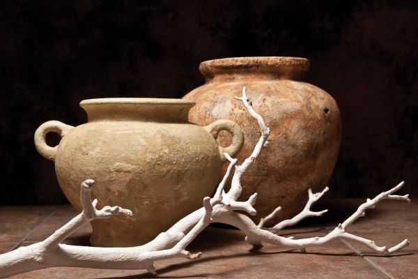 Pottery with Branch I