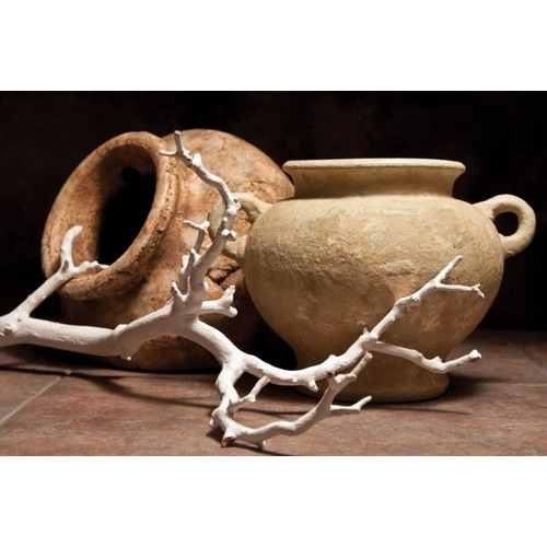 Pottery with Branch II