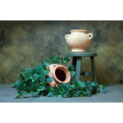 Pottery with Ivy I