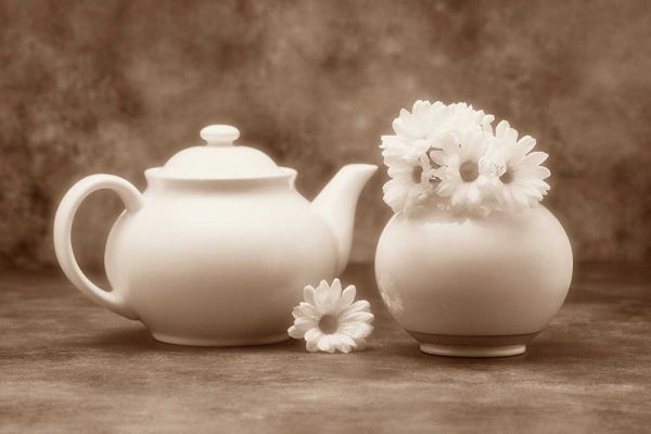 Teapot and Daisies II