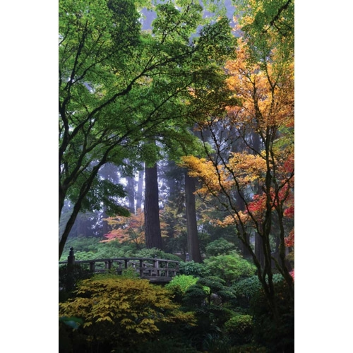 Moore, Brian 아티스트의 Japanese Gardens III작품입니다.