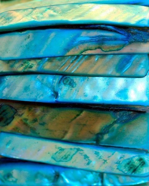 Putman, Tammy 아티스트의 Shell Be Blue I작품입니다.