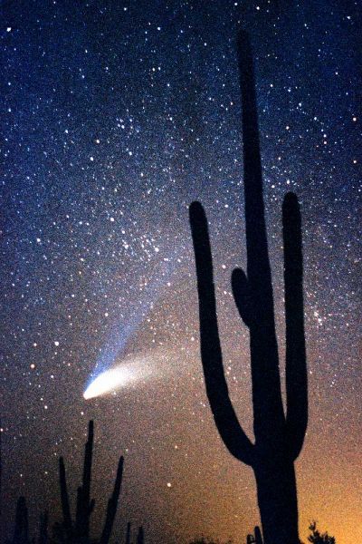 Hale Bop Comet