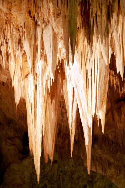 Carlsbad Cavern II