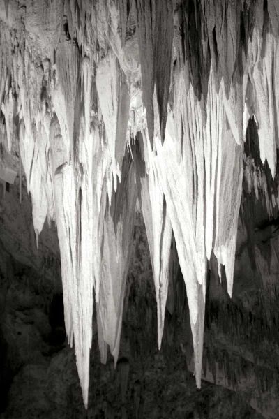 Carlsbad Cavern II BW