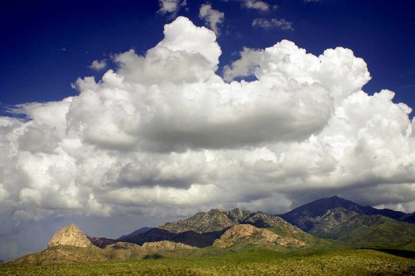 Santa Rita Mountains in August
