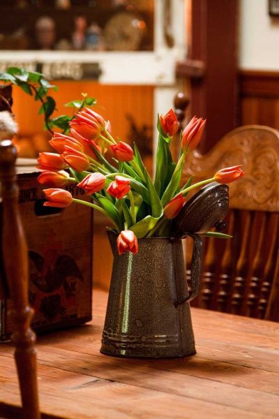 Fresh Tulips II