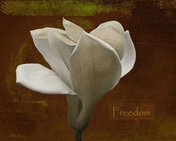 Zen Tulip Freedom