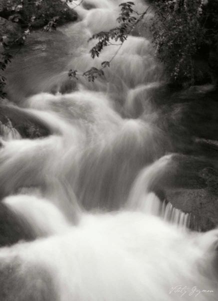 Flowing Waters I