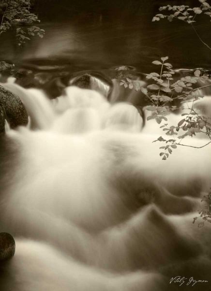 Sepia Waters I