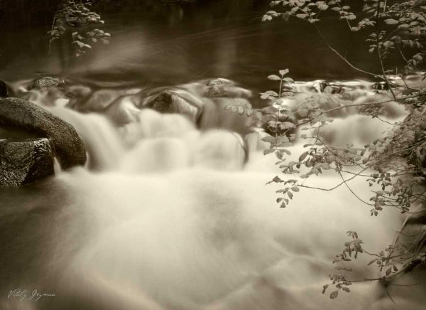 Sepia Waters IV