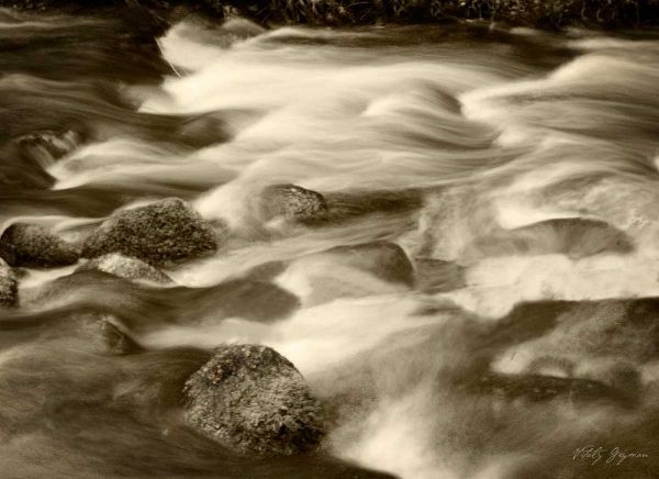 Sepia Waters V