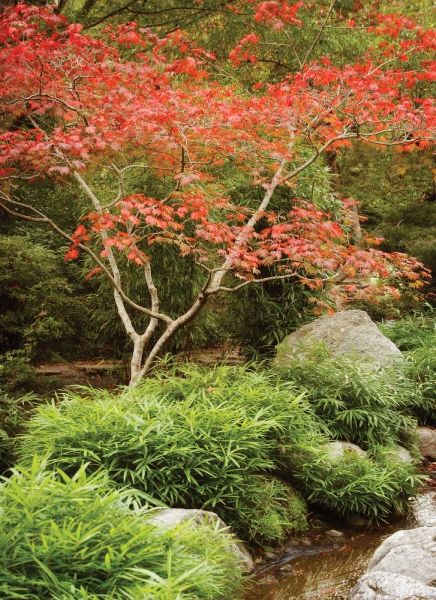 Geyman, Vitaly 아티스트의 Japanese Park I작품입니다.