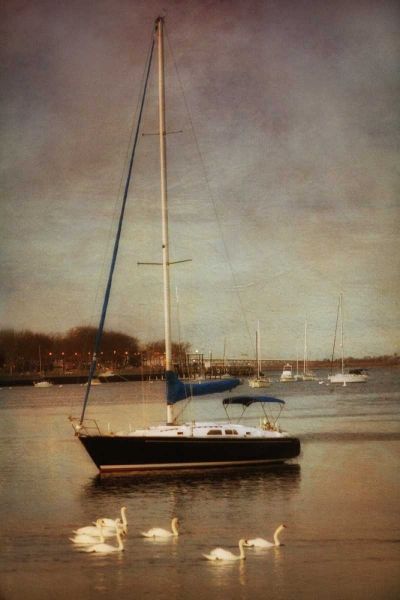 Sunset Sailing II