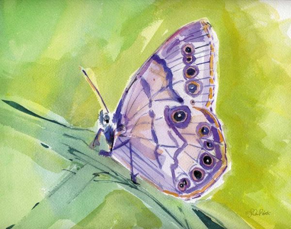 Watercolor Butterfly IV