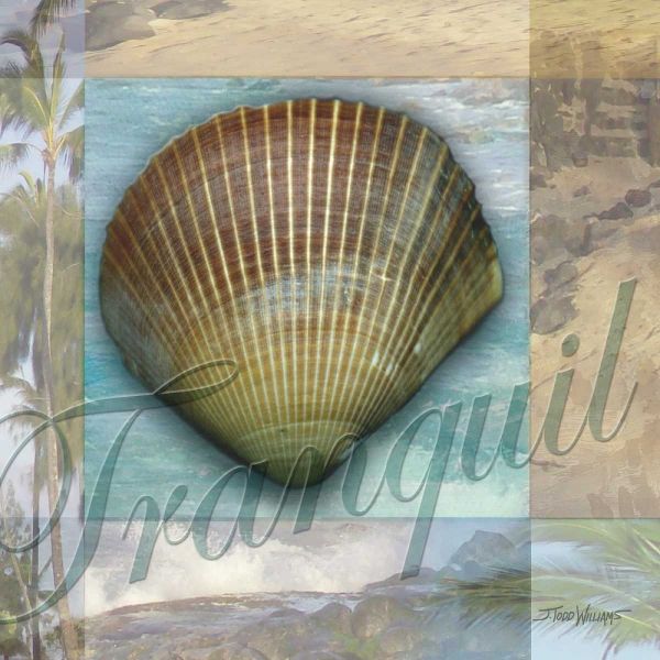 Tranquil Shell