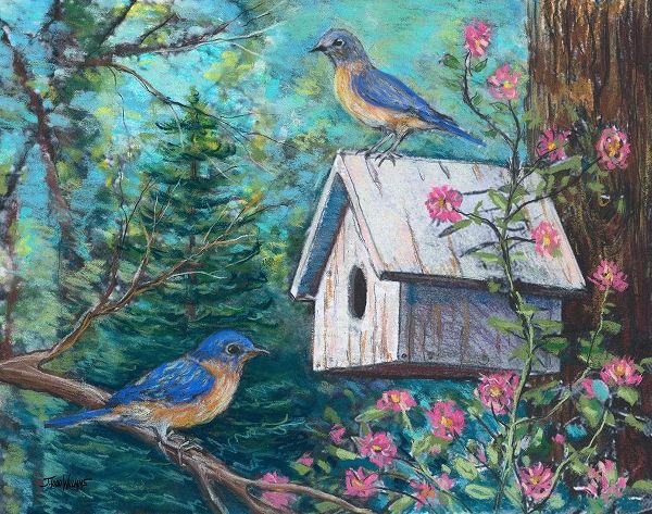 Blue Birds and House