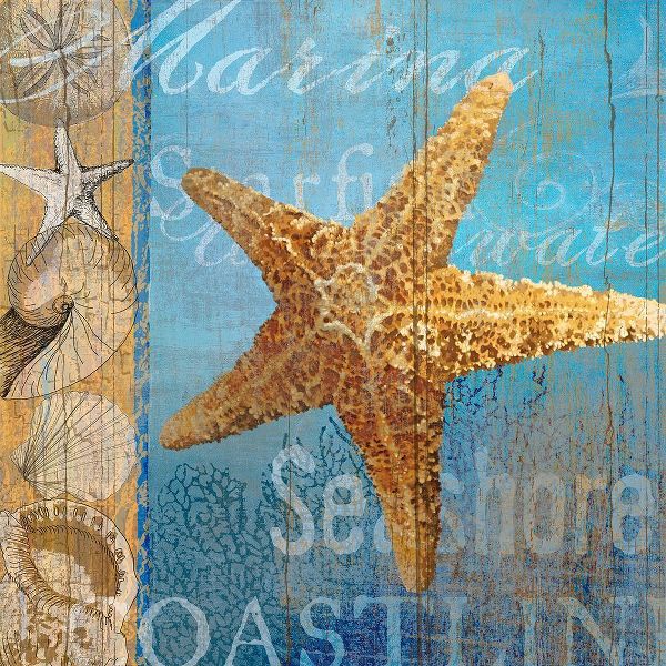 Art Licensing Studio 아티스트의 Starfish and sea작품입니다.