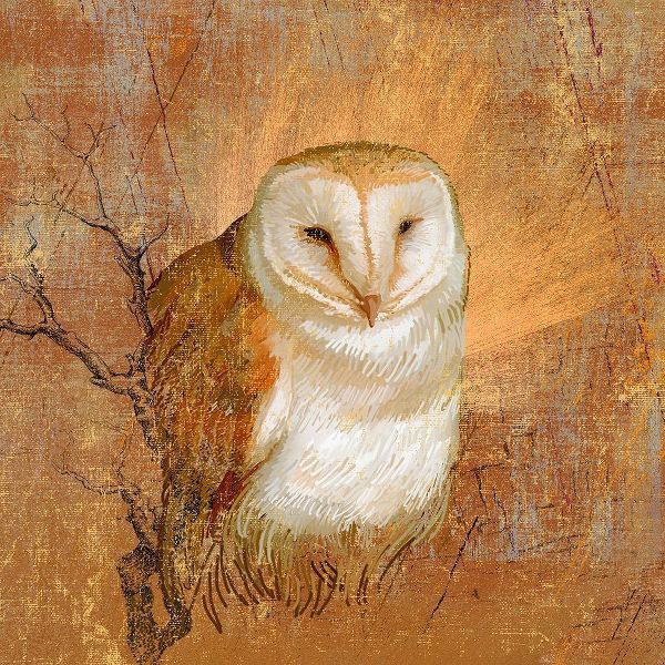Art Licensing Studio 아티스트의 Owl in the wood작품입니다.