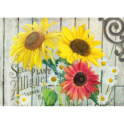 Art Licensing Studio 아티스트의 Farm Seed Sunflowers작품입니다.