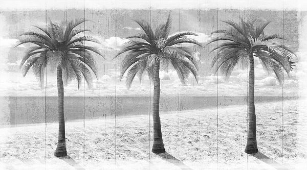 Art Licensing Studio 아티스트의 3 Island Palms 작품입니다.