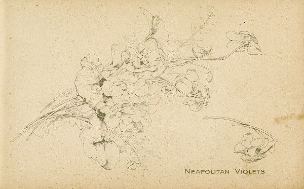 Art Licensing Studio 아티스트의 Neapolitan Violets작품입니다.