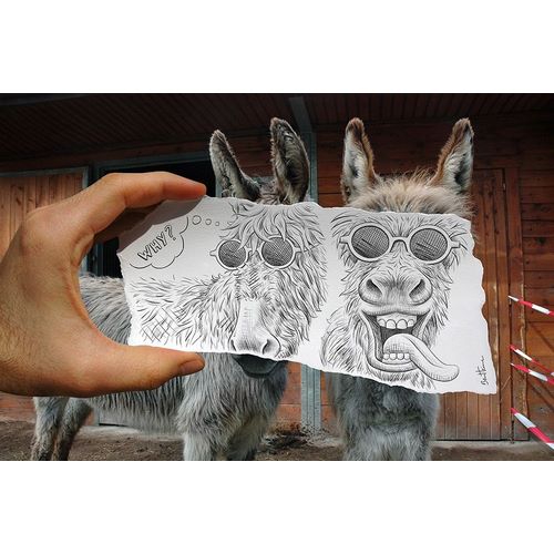 Heine, Ben 아티스트의 Pencil Vs Camera 12 - Funny Donkey작품입니다.