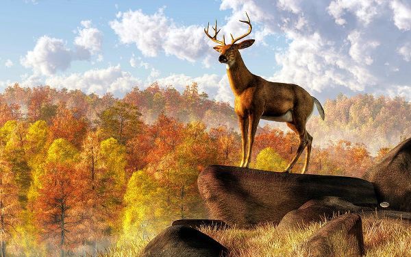 Eskridge, Daniel 아티스트의 Buck Over Autumn Valley작품입니다.
