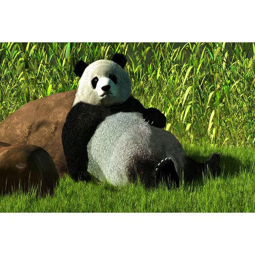 Eskridge, Daniel 아티스트의 Reclining Panda작품입니다.