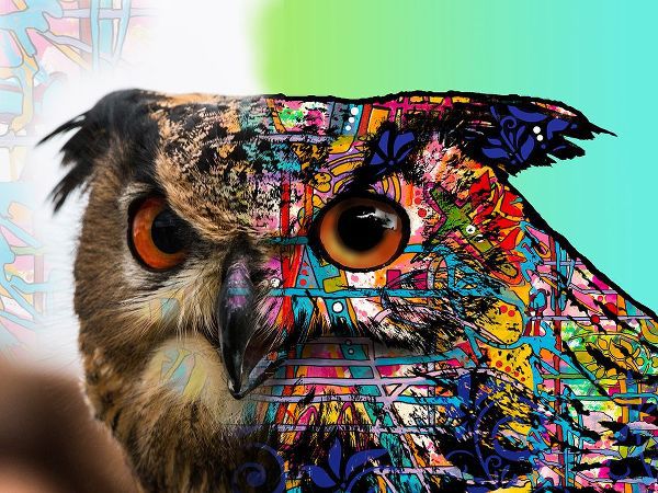 Dean Russo Collection 아티스트의 Exposed Owl작품입니다.