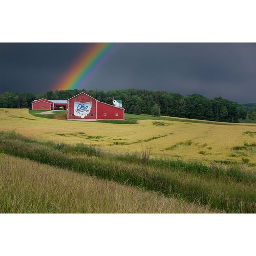 Galloimages Online 아티스트의 Ohio Farm Rainbow작품입니다.