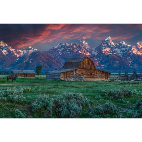 Galloimages Online 아티스트의 Grand Teton Mormon Barn At Sunrise작품입니다.