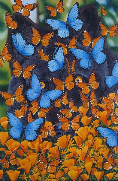 Stevenson, Graeme 아티스트의 Autumn Butterflies작품입니다.