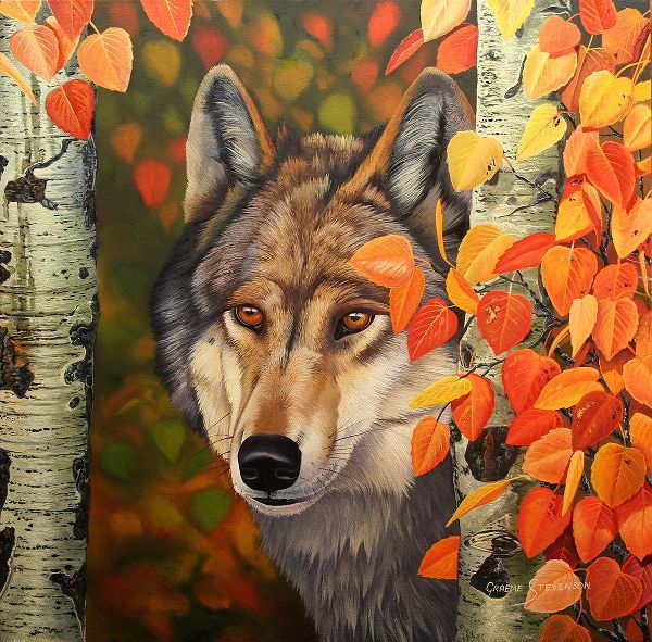 Stevenson, Graeme 아티스트의 Colours Of The Wolf작품입니다.