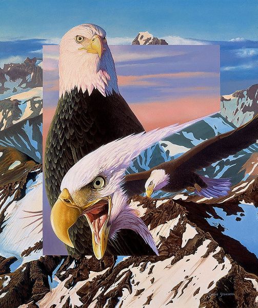 Stevenson, Graeme 아티스트의 Screaming Eagles작품입니다.