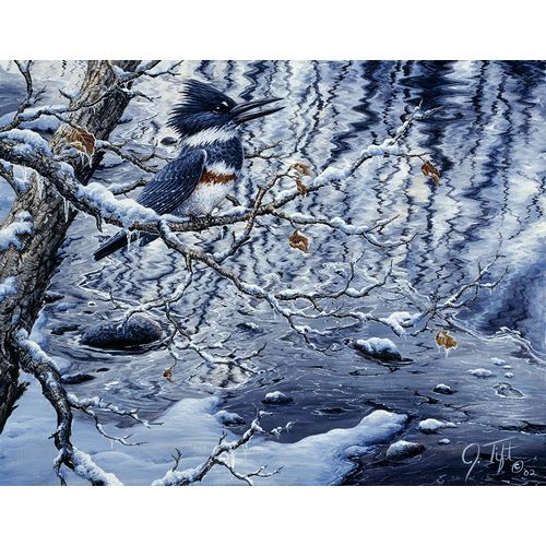 Tift, Jeff 아티스트의 Icy Reflections작품입니다.