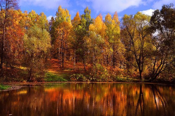 Jenny Rainbow Fine Art 아티스트의 Autumn Reflections작품입니다.