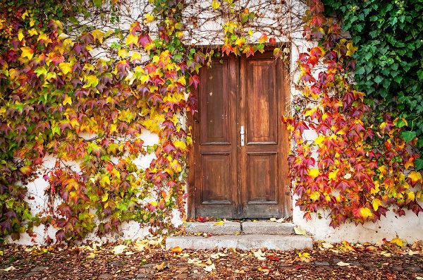 Jenny Rainbow Fine Art 아티스트의 Autumn Wooden Doorway in Prague작품입니다.