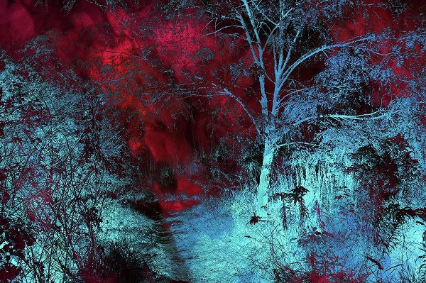 Jenny Rainbow Fine Art 아티스트의 Moonlight Forest작품입니다.