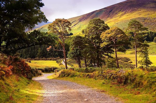 Jenny Rainbow Fine Art 아티스트의 Celtic Spirit in Wicklow Mountains Ireland작품입니다.
