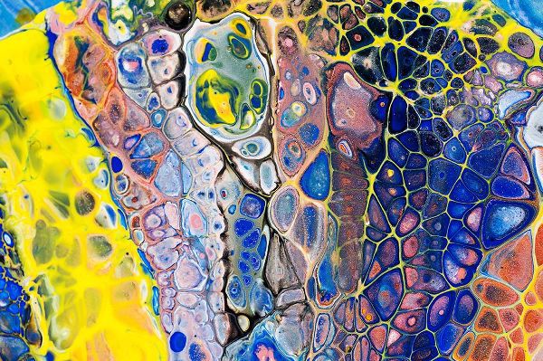 Jenny Rainbow Fine Art 아티스트의 Fluid Acrylic Colorful Night Dreams 1작품입니다.
