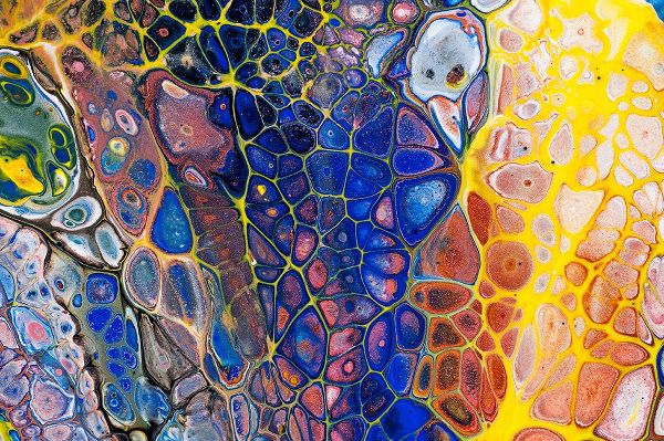 Jenny Rainbow Fine Art 아티스트의 Fluid Acrylic Colorful Night Dreams 2작품입니다.
