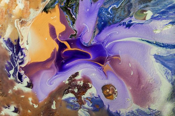 Jenny Rainbow Fine Art 아티스트의 Fluid Acrylic Galactic Portal작품입니다.