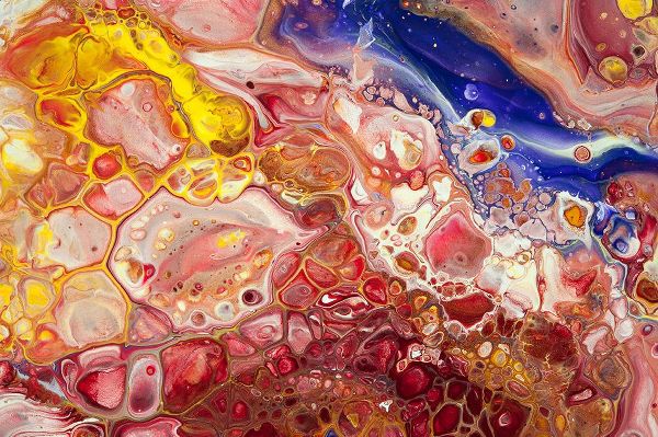 Jenny Rainbow Fine Art 아티스트의 Fluid Acrylic Gems Of East 1작품입니다.