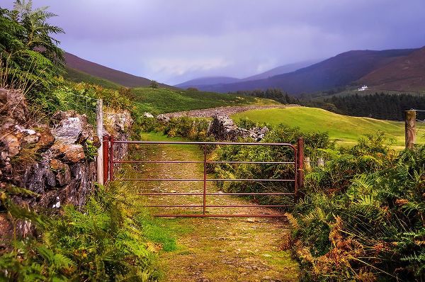 Jenny Rainbow Fine Art 아티스트의 Gates on the Road at Wicklow Hills Ireland작품입니다.